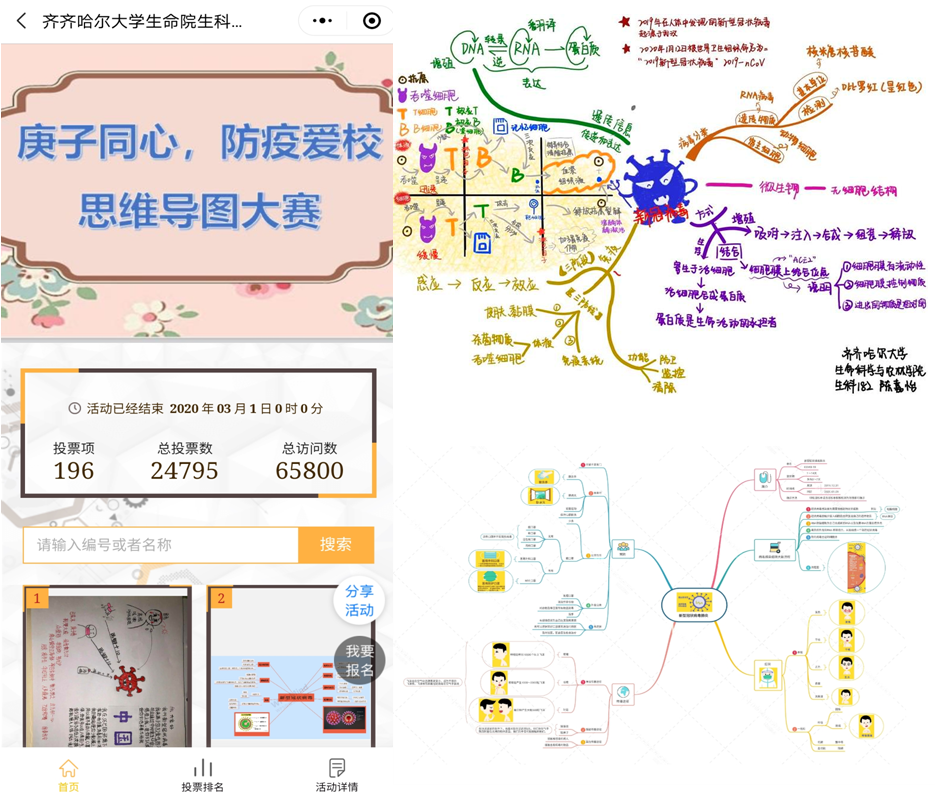 国产精品v欧美精品∨日韩