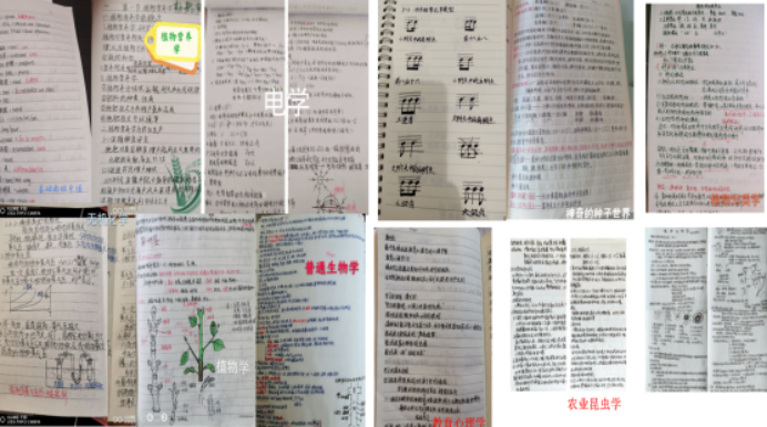 国产精品v欧美精品∨日韩